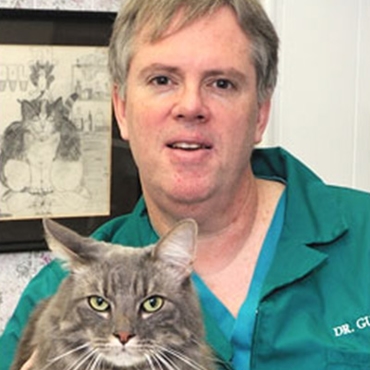 Meet Our Team | Bloomfield Veterinary Clinic