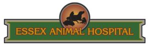 Veterinarians in Bloomfield | Essex Animal Hospital
