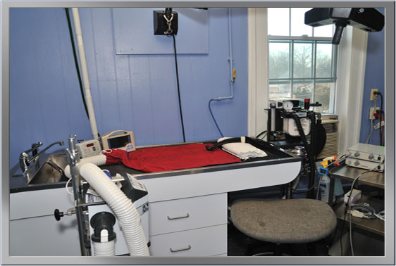 Dentistry Suite