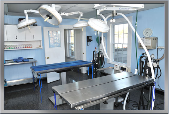 Surgical Suite